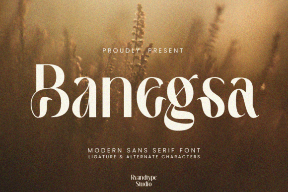 Banegsa Font: Elevate Your Brand Identity