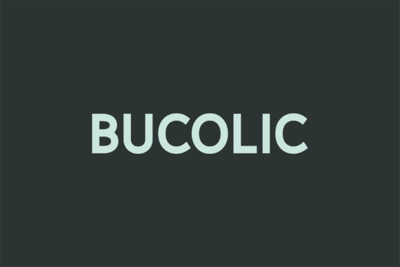 Bucolic: A Modern Sans Serif Font for Branding