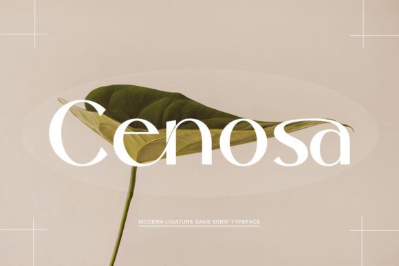 Cenosa: A Clean Sans Serif Font for Elegant Web Design