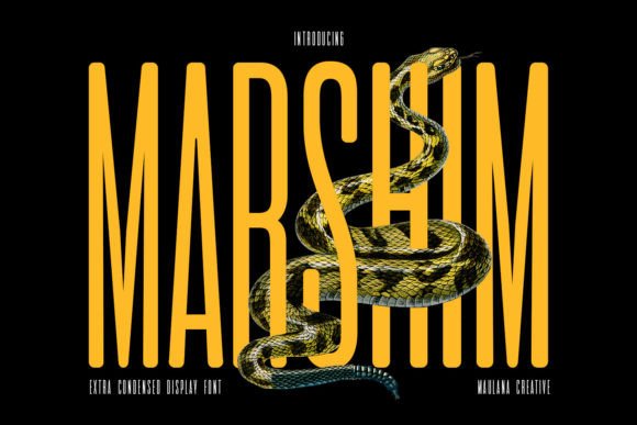Marshim: The Modern Sans Serif Typeface for Bold Branding