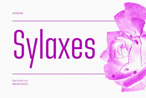 Sylaxes Font for Modern Branding and Labels